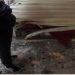 VIDEO/ Ja momenti kur në dyqan vihet lëndë plasëse –