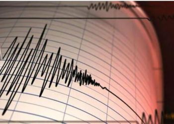 Sërish tërmet në Turqi, sa ishte magnituda –