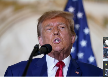 Vendi ynë po shkon në ferr –