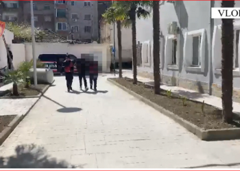 Bashkautor i tetë vjedhjeve në Vlorë, në pranga 18-vjeçari –