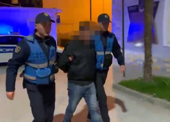 VIDEO/ Tentoi të vriste të moshuarën dhe nipin, arrestohet 42-vjeçari –