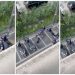 Policia dhunon trans-in, Sindikata: Agjentët u sulmuan –