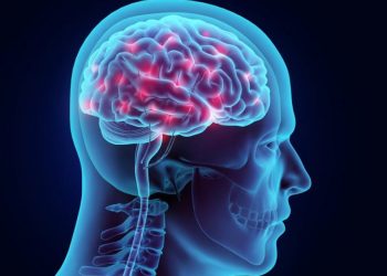 Shkencëtarët janë më afër zhdukjes së Alzheimerit? –