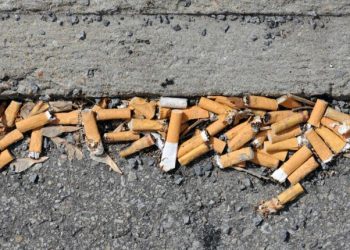 Ja dëmi real i shkaktuar nga bishtat e cigareve –
