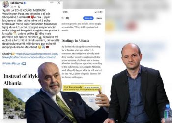 Kur dy fjali bëhen artikull –