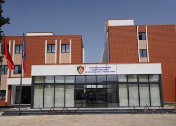 33-vjeçari ushtronte dhunë ndaj gruas, ja çfarë iu gjet nga policia –