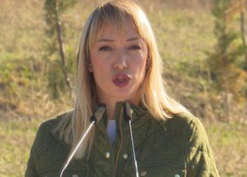 Çudirat e Krifcës, shpenzon 120 MLN lekë për të numëruar ullinjtë –