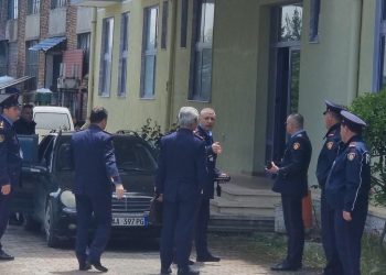 Shpërndahen materialet zgjedhore në Pogradec –