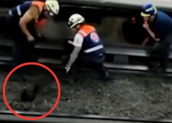 Pula bllokon trafikun në metronë e kryeqytetit –