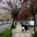 Makina përplas këmbësoren te Rruga e Kavajës