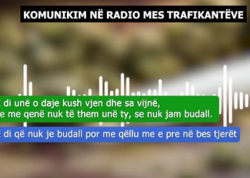 VIDEO/ “Hape telefonin, ta marrë dreqi rracën”, përgjimet e SPAK zbardhin skemën e kultivimit të narkotikëve –
