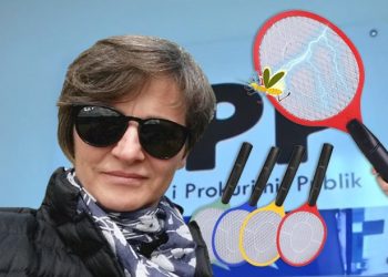 Tenderët 1 milion euro për “vrasjen” e mushkonjave, KPP pranon ankesat e Flutura Nuredinit –