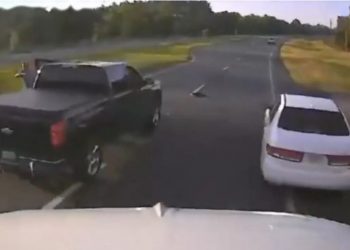 Ndaloi për të ndihmuar breshkën, shkakton kaos në autostradë (VIDEO) –