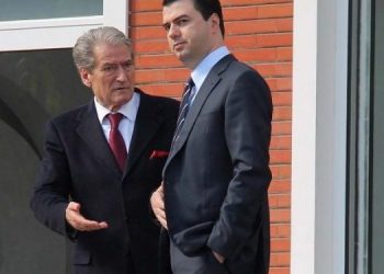 Dorëheqja e Alibeajt, Basha në krye të partisë? –