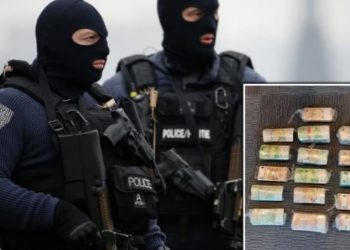 17 shqiptarë në pranga, Europol shkatërron bandat e drogës –
