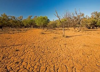 Po vjen “El Nino”, bota të përgatitet për temperatura rekord –