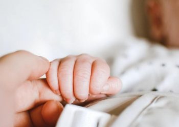 Lindjet bien me 17% në tremujorin e parë, niveli më i ulët ndër dekada –