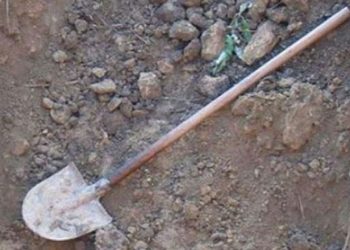 Koplik/ E goditi me lopatë në kokë 56-vjeçarin, arrestohet autori –