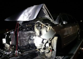 Makina përplaset me pemën, vdes shqiptari në Itali –
