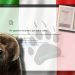 Edhe Italia bie pre e hakerave rusë, bllokohen kartat elektronike të identitetit –