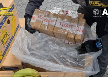 Kapen 3 ton kokainë të fshehura brenda bananene në portin italian –