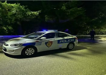 Ç’ndodhi pas mesnatës në Pukë? Policia jep detaje: Autori nga Tirana –