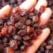 Ja produkti i ëmbël, perfekt edhe për diabetikët –