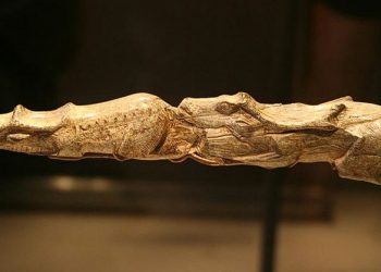 17,000 vjet më parë, emigrantët nga Ballkani kanë prodhuar kulturën epigravetiane –