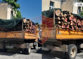 Policia ‘godet’ ashpër krimin, kap 63 vjeçarin me dru të prera –