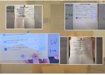 Në Shkodër votojnë Luizin, fletët e votimit që u bënë ‘meme’ –