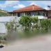 Pamje nga vrasja makabre në Elbasan (VIDEO) –