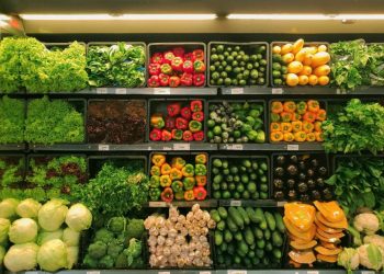 Eksporti i zarzavateve në vendnumëro, sezoni i mbarë nuk stimuloi prodhimin –
