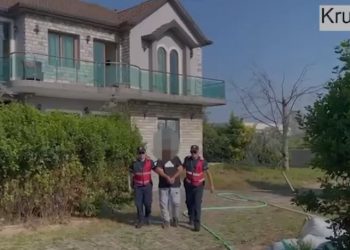 Zbulohen sera të tjera kanabisi në Krujë/ Arrestohet kultivuesi që vidhte energjinë –