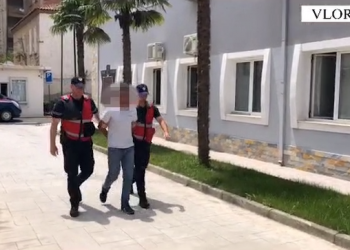 Operacioni i përbashkët në 7 shtete/ Arrestohen për vjedhjen edhe shqiptarë –
