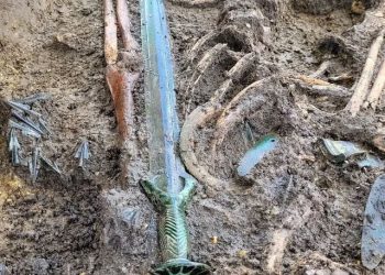 I përket shekullit të 14-të/ Zbulim i rrallë në Gjermani gjendet shpata 3 mijë vjeçare –