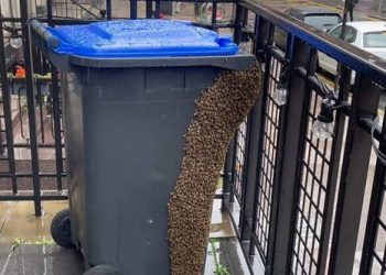 Nuk e kuptuam sesi ndodhi (FOTO) –