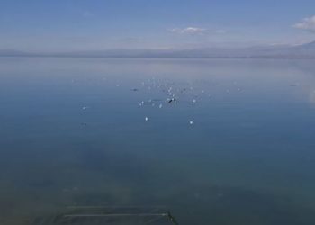 Probleme kryesore, shfaqja e metaleve dhe pesticideve të ndaluara nga BE –