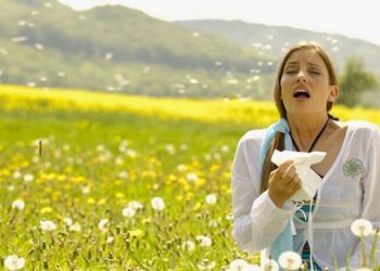 Si ta dalloni virusin nga alergjia dhe çfarë duhet të bëni? –