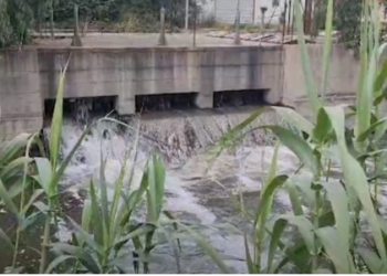 Masakër mjedisore/ Ujërat e zeza derdhen në det! Prokuroria vonon procedura –