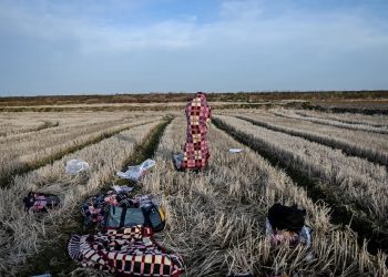 Greqia kërkon ndihmën e Turqisë për migrantët –