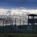 SHBA t’i kërkojë falje të burgosurve në Guantanamo –