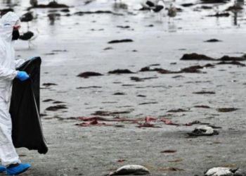 Fenomeni misterioz edhe i frikshëm alarmon Kilin, autoritetet nisin hetimet –