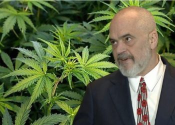 Nga kanabisi tek Porti i Durrësit dhe video e Safetit si kamuflim –