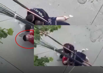 VIDEO/ “Të q* robt, ku*vë”, policia terrorizon qytetarin në mes të rrugës –