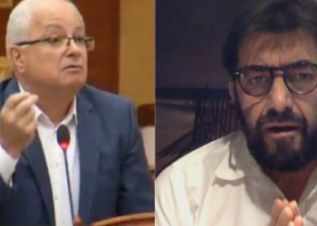 “I pjerdhur nga trutë, uturak, mos e pshurr”, degjeneron debati në rrjet mes Spahos e Demalisë –