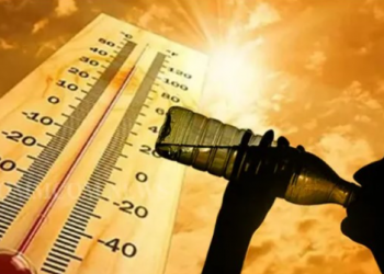 Nga dehidratimi te helmimi nga ushqimi, këto janë problemet që mund të hasim shpesh gjatë verës –