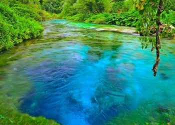 Uji i Tepelenës dhe Syrit të Kaltër drejt Pulias, Sazan Guri: Mallkuar qofshin ata… –