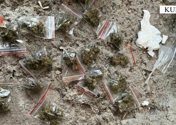 Kishin përshtatur lokalin për shitje narkotikësh, arrestohet pronari dhe kamarieri/ Emrat –