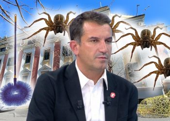 Do të blejë fshesë për merimanga dhe kaci, Lali Eri harxhon pa garë 400 MLN lekë –