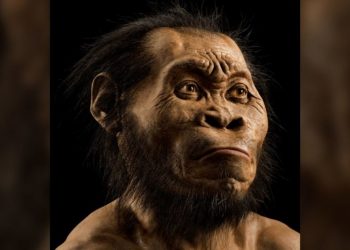 Të shkurtër por jashtëzakonisht të fortë, ja kush kanë qenë “Homo naledi-t” –